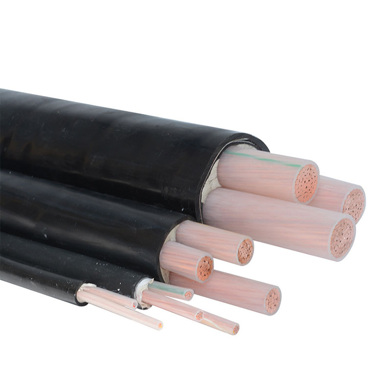 I-Copper Core 10 Square Power Cable